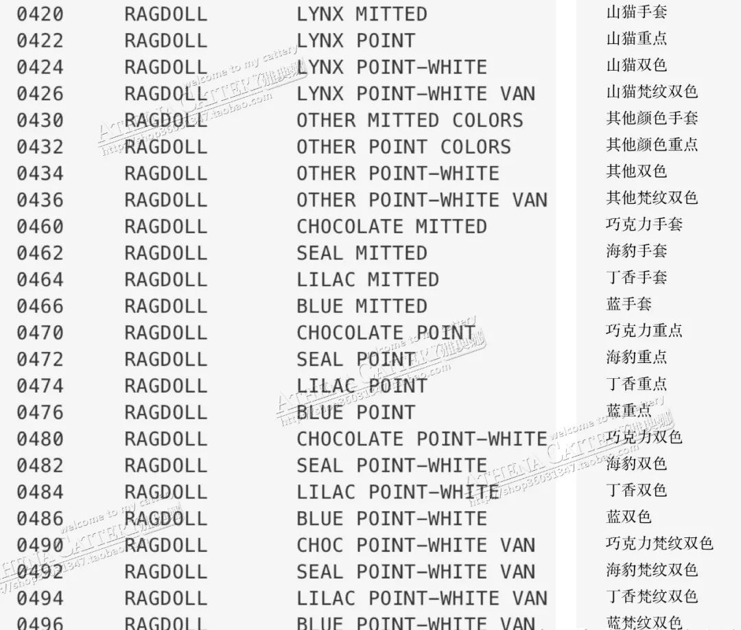 猫咪血统怎么检测,猫咪cfa证书血统怎么看