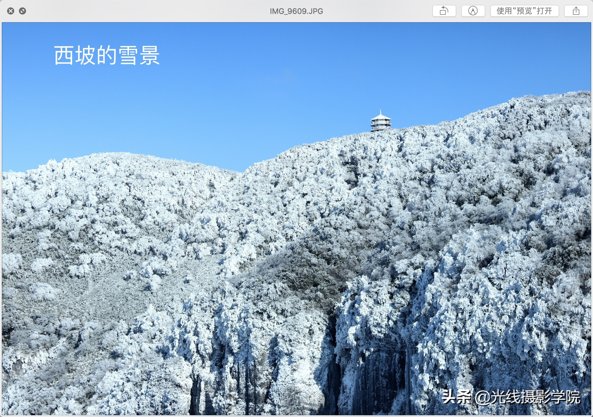 重庆金佛山冬季风景,重庆市金佛山旅游景区在下雪吗