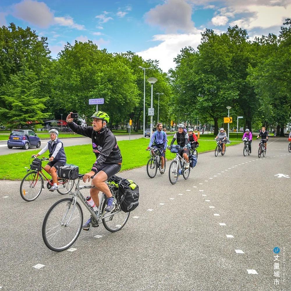 5.16国际牛奶日,每天一杯牛奶强壮中国人