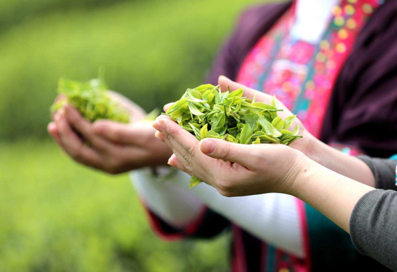 茶行业新的商业模式,茶互联网