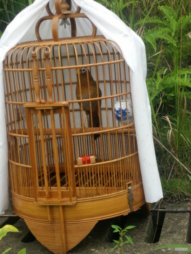 笼布的小技巧,笼布怎么使用不粘馒头