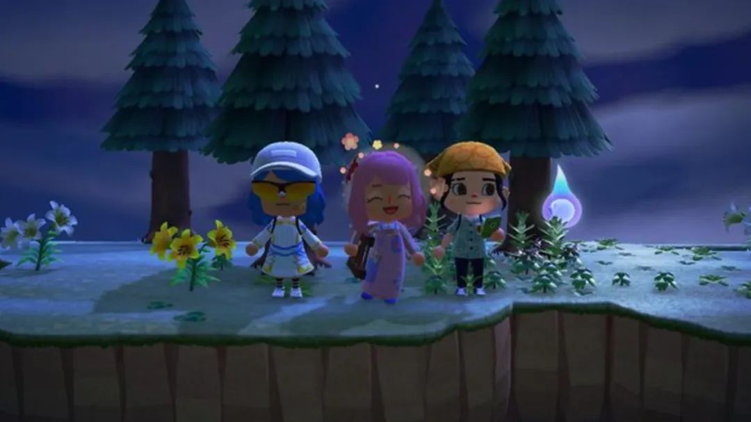 猫咪盲盒真正的猫咪,猫咪盲盒无毛猫