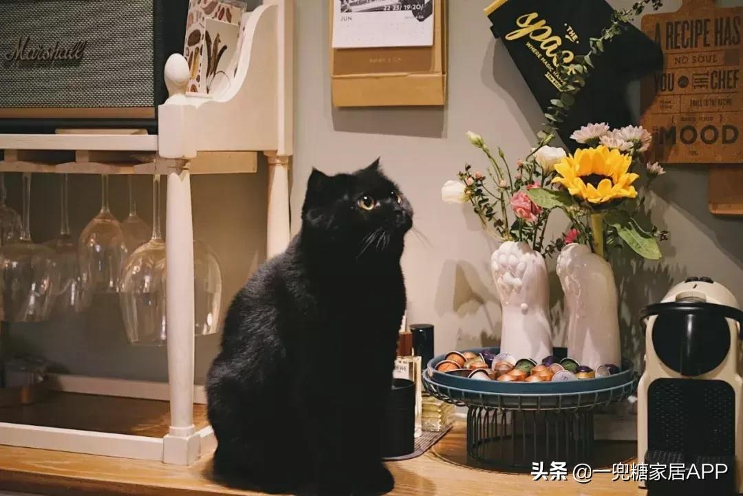 便宜又高级的家居好物,高颜值家居小物推荐