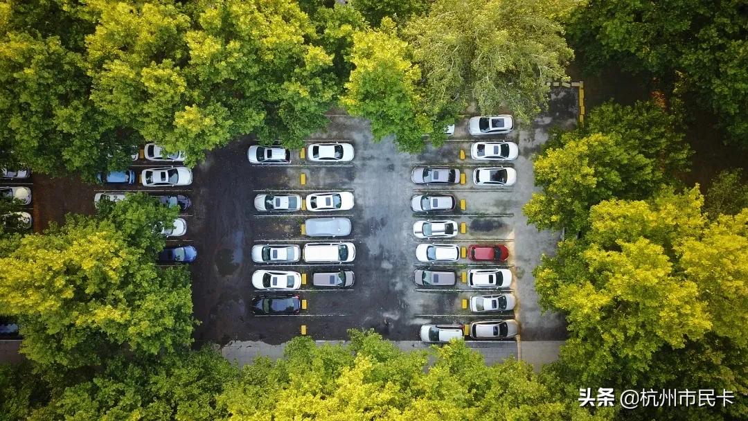 停车费可享优惠截止日,有车一族停车攻略