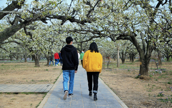 春游江淮请你来滁州版,春游江淮等您来