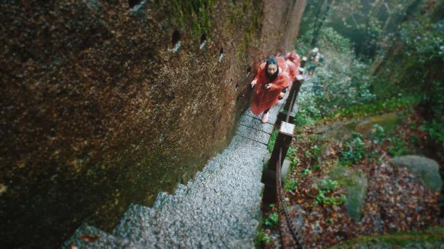 福鼎旅游数据,福鼎纪录片