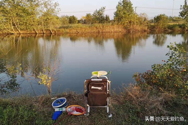 30块钱钓鱼一天,30块钱钓了3个小时的鱼