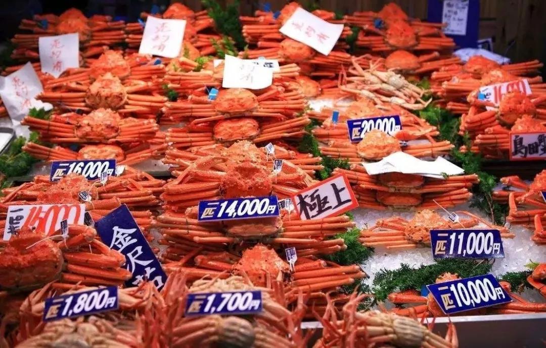 日本最好看的铁路,日本为什么热衷于东南亚铁路