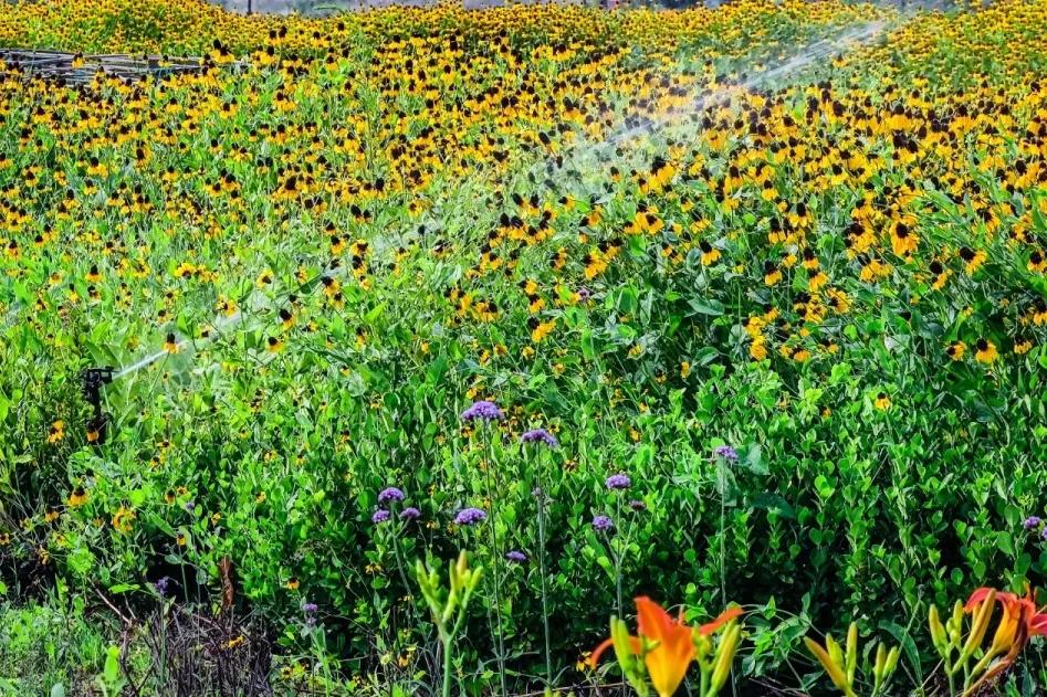 在济南花式避暑，一见“清”心！只需一瞥，便足以把酷夏原谅…