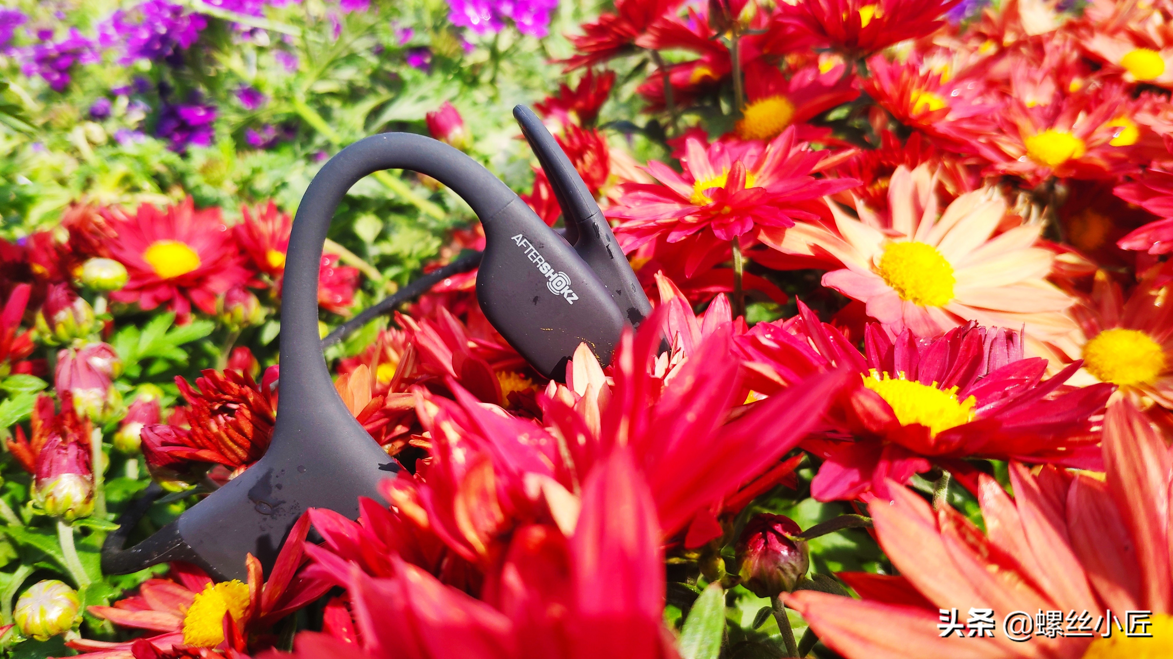 悦耳便携式尽在Xtrainerz运动骨传导MP3*放播**器