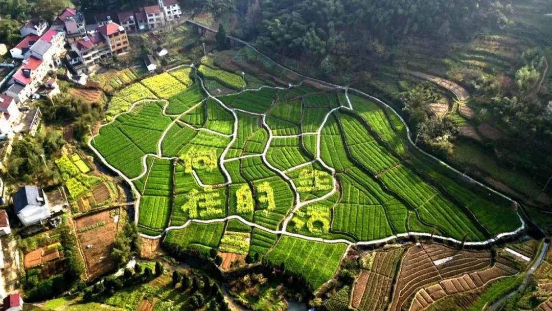 钱塘江大潮图画,钱塘江大潮的壮观景象手绘