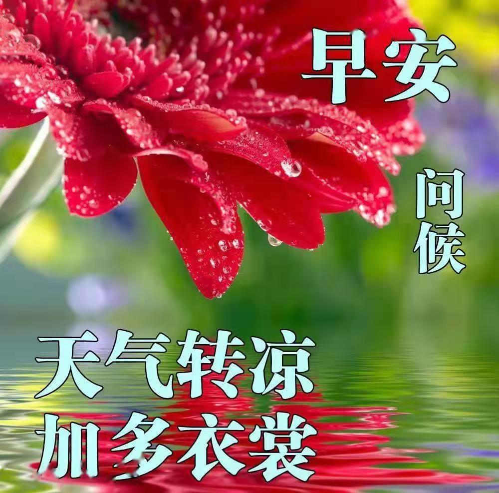 坚持以人为本是什么原则,坚持适度原则的哲学原理