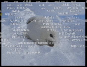 这届年轻人有多清醒,这届年轻人怎么爱上吸熊猫的