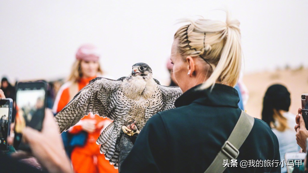 迪拜游玩攻略,去迪拜游玩最省钱的攻略