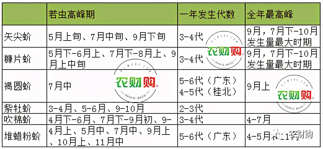 治蚧壳虫的土方法,用药指南蚧壳虫