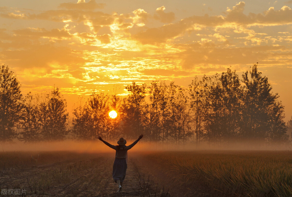 大有卦辞的哲理意义,大有卦的爻辞