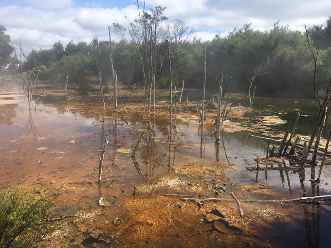 让你不出国就可以拍出欧洲即视感,让你不出家门就能看到江南的美景
