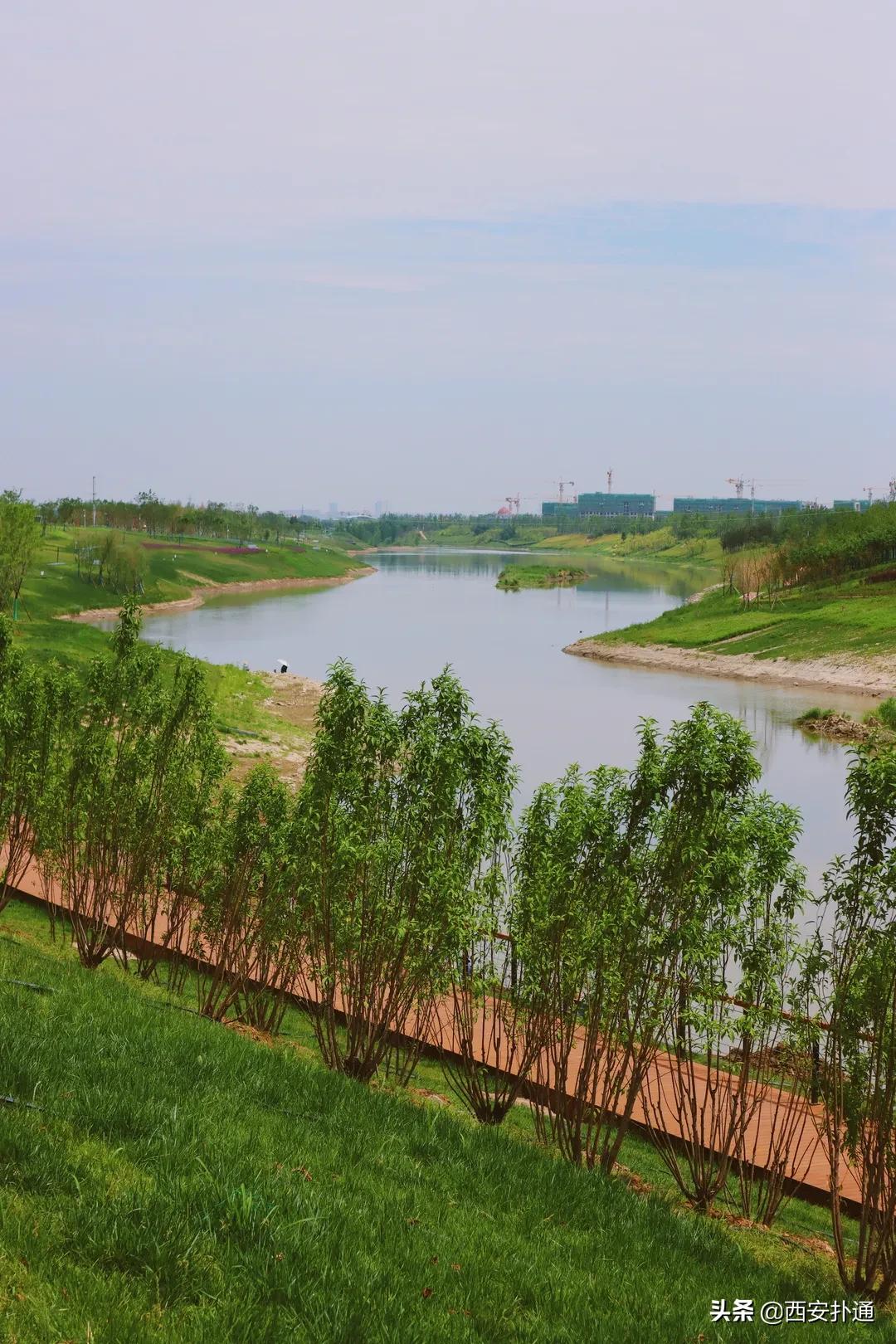 西安大草坪公园推荐,西安有大草坪的公园