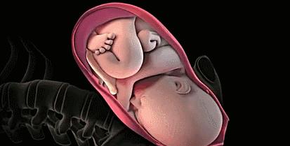 孕妈注意怀孕初期,孕妈必须知道的注意事项