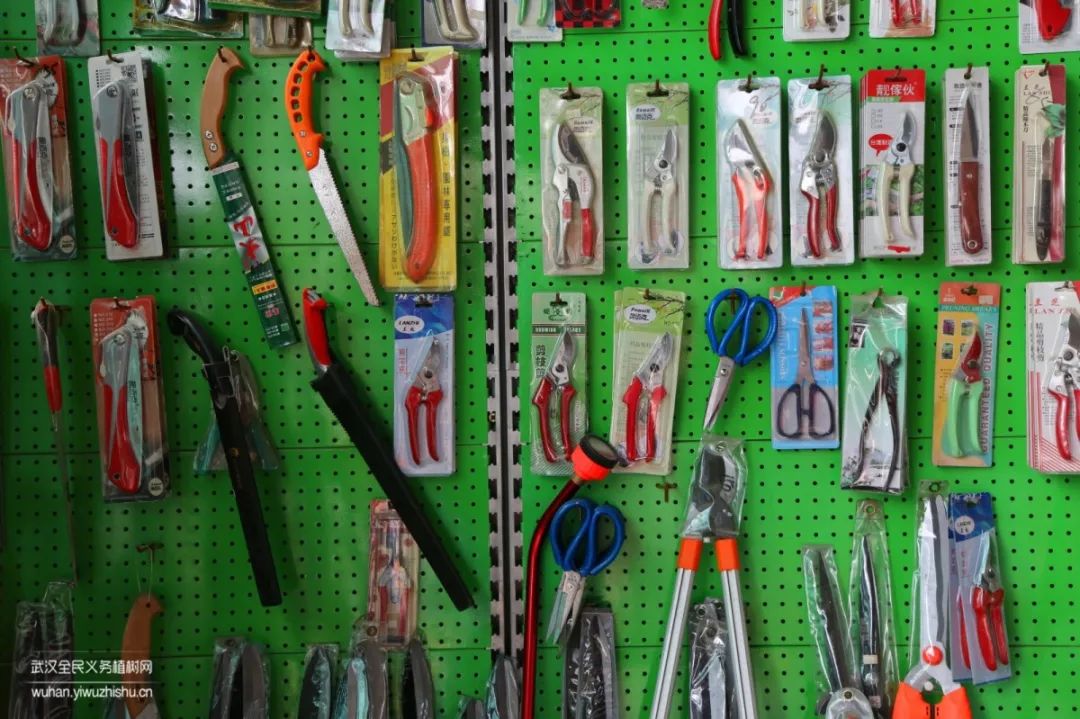 园艺沙龙|前方高能！一大波人相约逛花市，究竟淘了些啥？