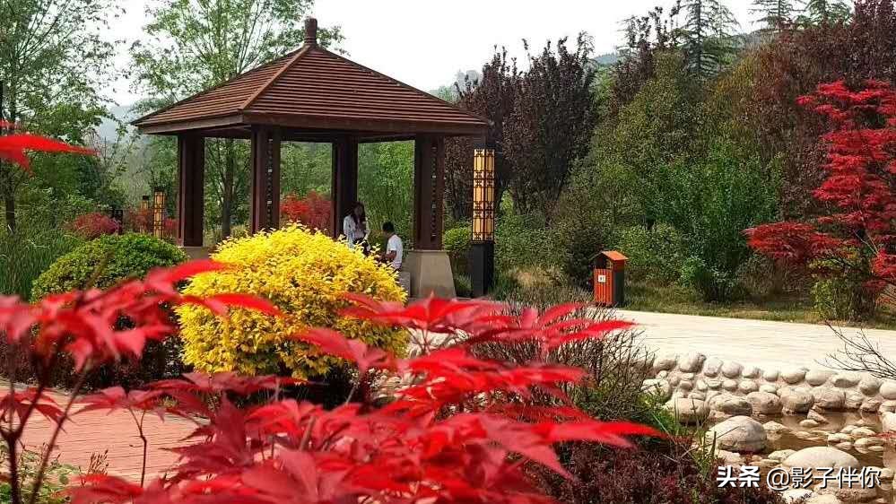 蔡家坡西部百强镇,全国千强镇新袁镇排名