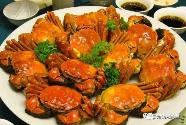 曹妃甸的新传说,渤海湾曹妃甸的魅力