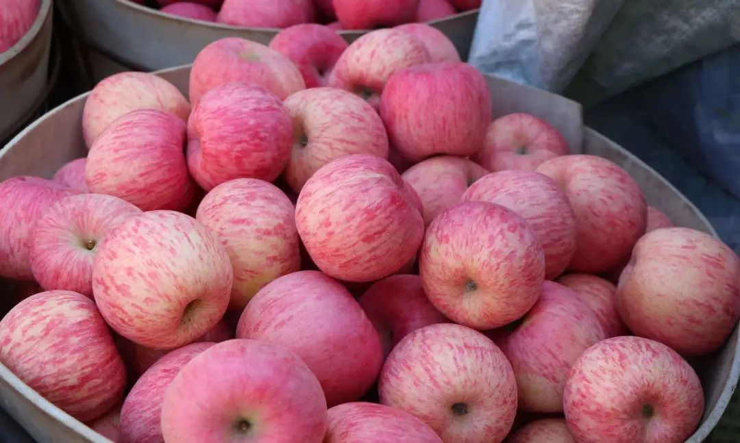 阿克苏苹果和烟台苹果哪个好,陕西苹果对比烟台苹果颜色