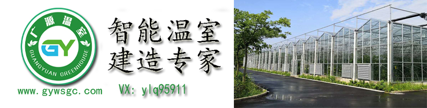 大棚种植蔬菜营养价值,大棚蔬菜种植的坏处