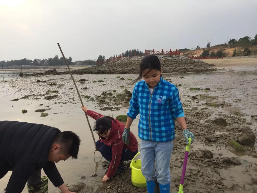 告别2019，迎来2020，在三娘湾与白海豚一起跨年