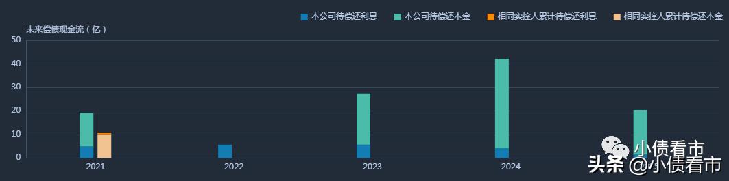 中南建设发债最新情况,中南建设有息负债