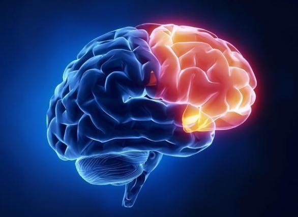 颈部血管支架,颈部血管支架预防破裂