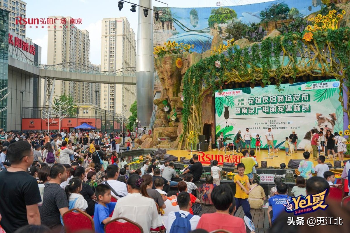 南京弘阳广场宠物,宠物友好商场南京浦口