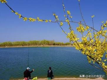 春季钓鲫技巧和方法,冬钓鲫的最佳调钓方法