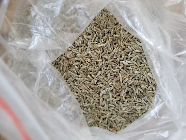 儿童冬天吃什么长高效果好,天冷了这个菜再贵也要给孩子吃