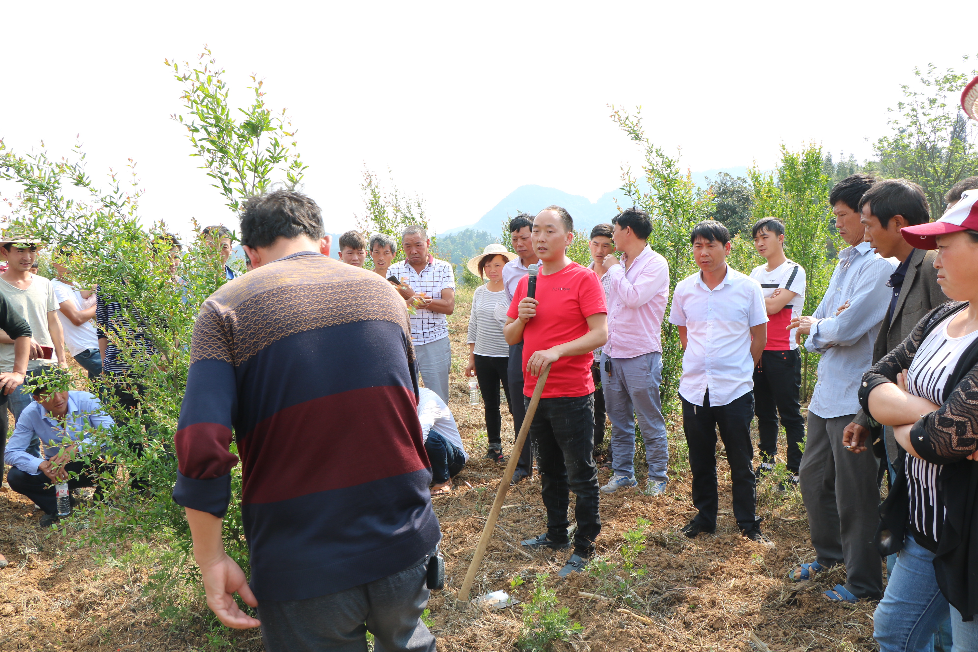 盘州企业数字化转型,盘州市产业