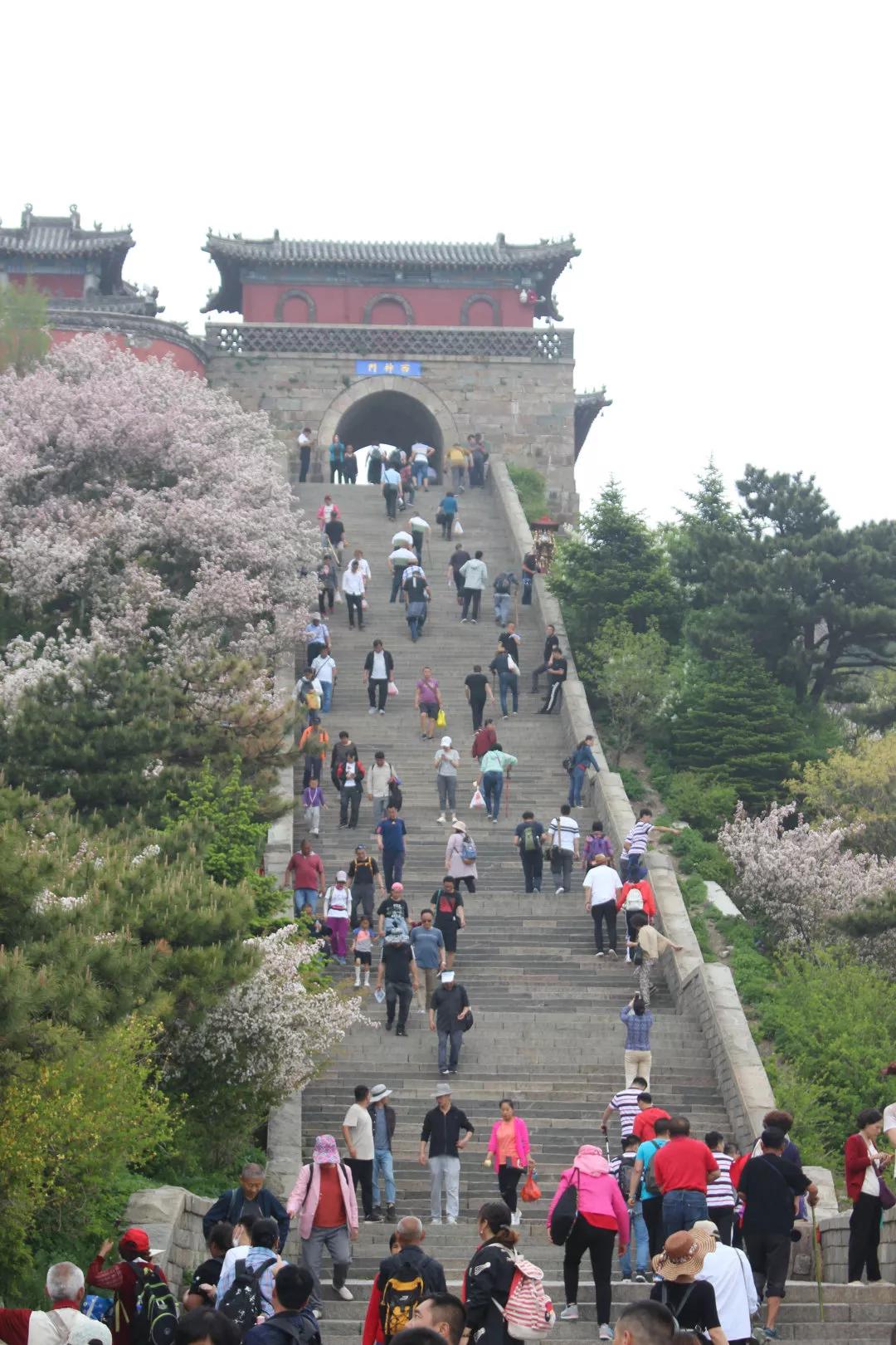 金德管业集团2009年新乡分公司,金德管业集团视频