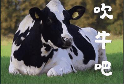 牛搞笑表情动图gif图片,牛的搞笑段子