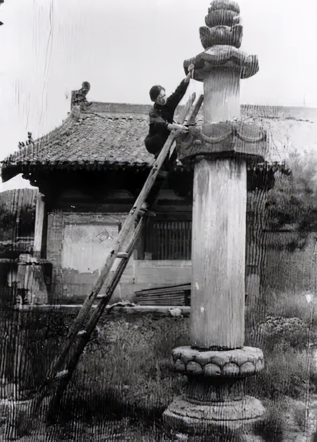 夜读百年中国阅读,夜读杨绛先生