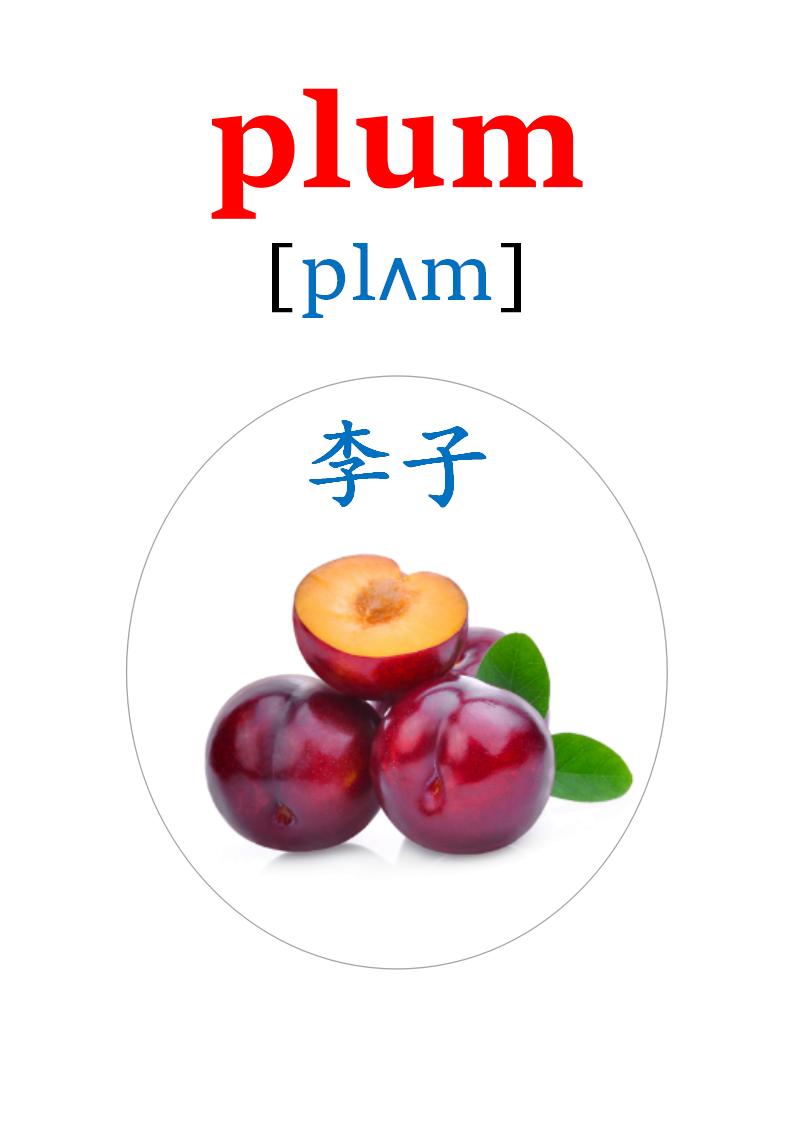 英语卡片20多种水果的英语单词,英语卡片水果种类