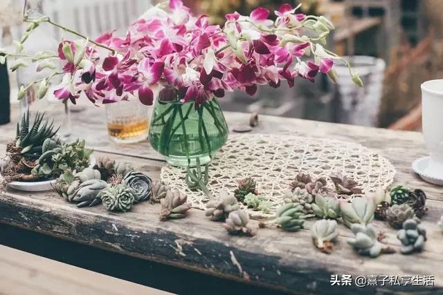 怎么打造低成本花园,怎么用几十元造花园