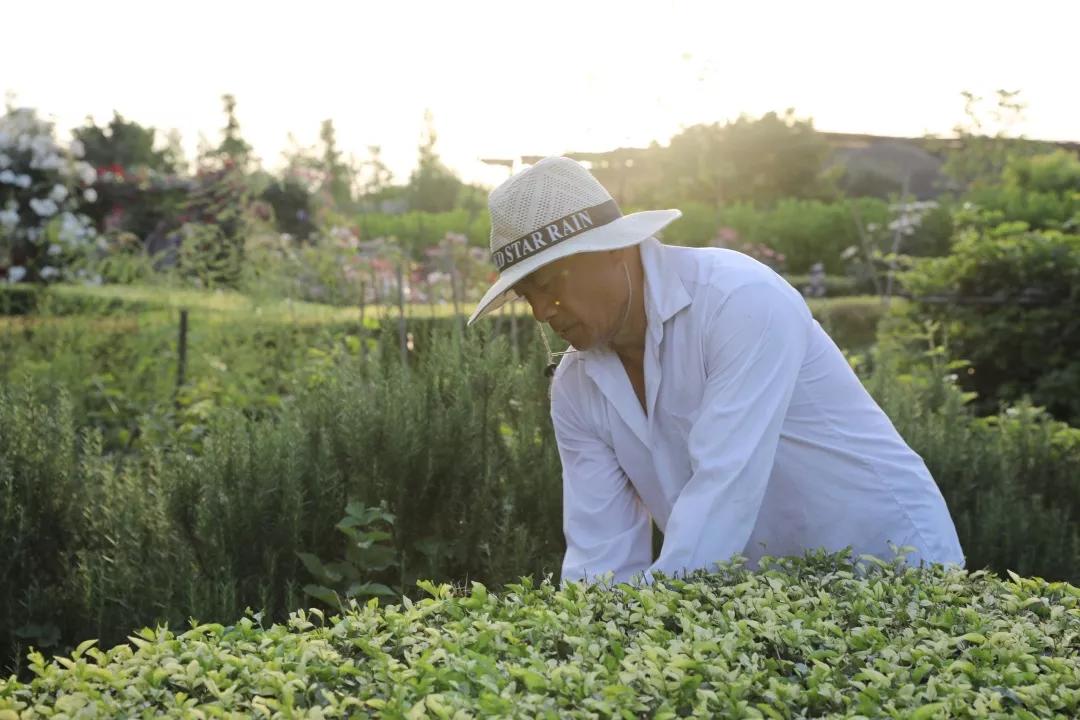 建一座完全不打药的生态花园,所有生命在这里和谐共处,值得收藏