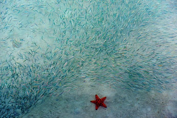 去哪个马尔代夫好玩,度假胜地马尔代夫