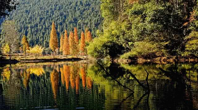 广东森林公园推荐,广东十大森林公园旅游景点
