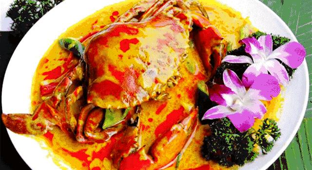 你好，我叫三亚，这是我的新版简历，请查收