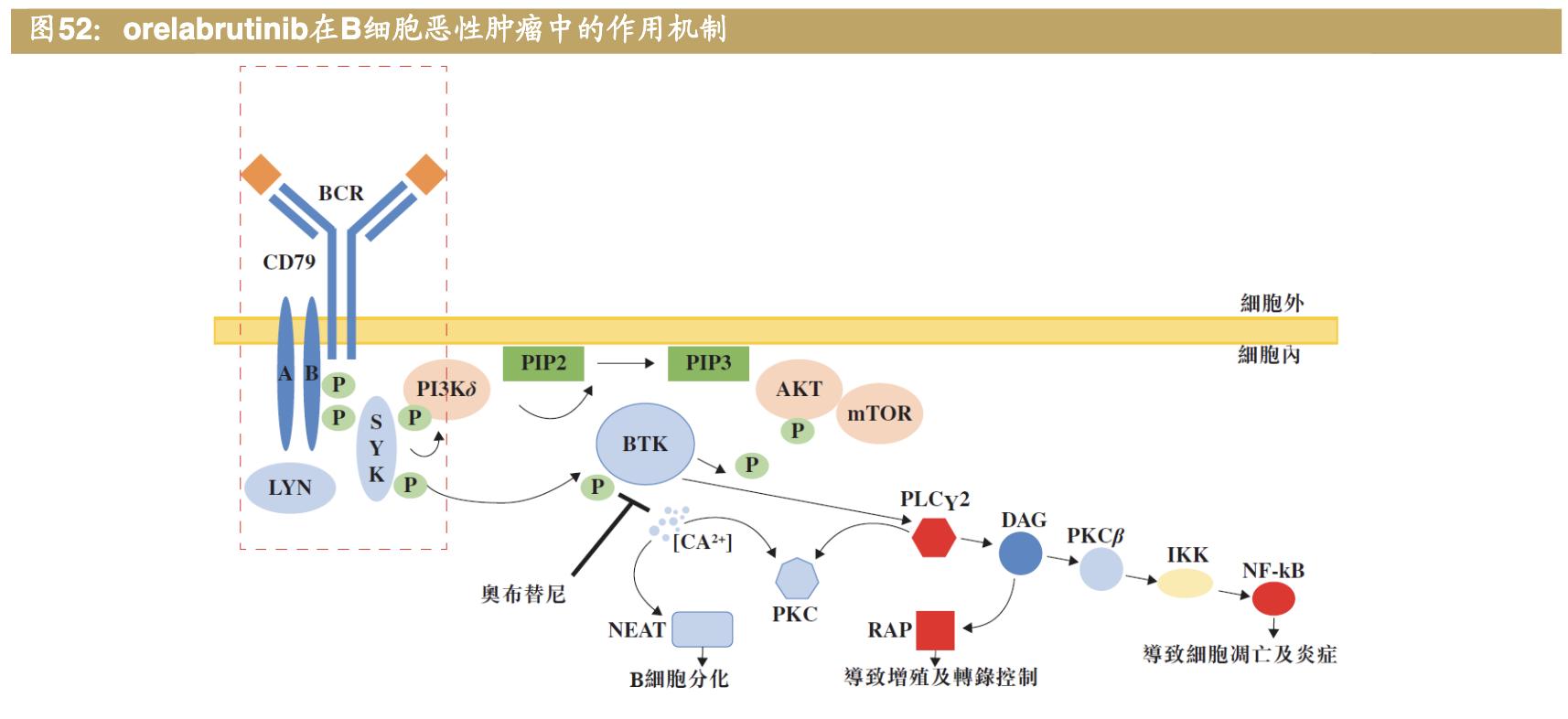 医药公司诺诚健华,诺诚健华创新药基地