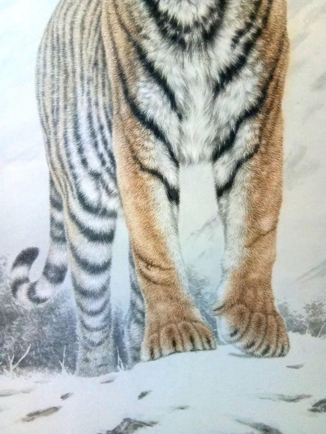 免费学工笔画,最全的画虎技法收集