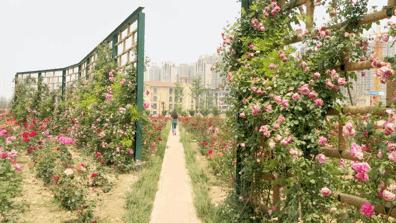 西安马尔代夫沙滩在哪里,西安马尔代夫图片