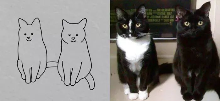 你和大触绘画的区别：一看就会一画就废，这波动物简笔画太形象了