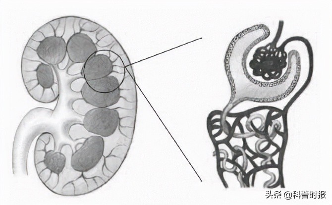 科普时报2021,健康科普时报