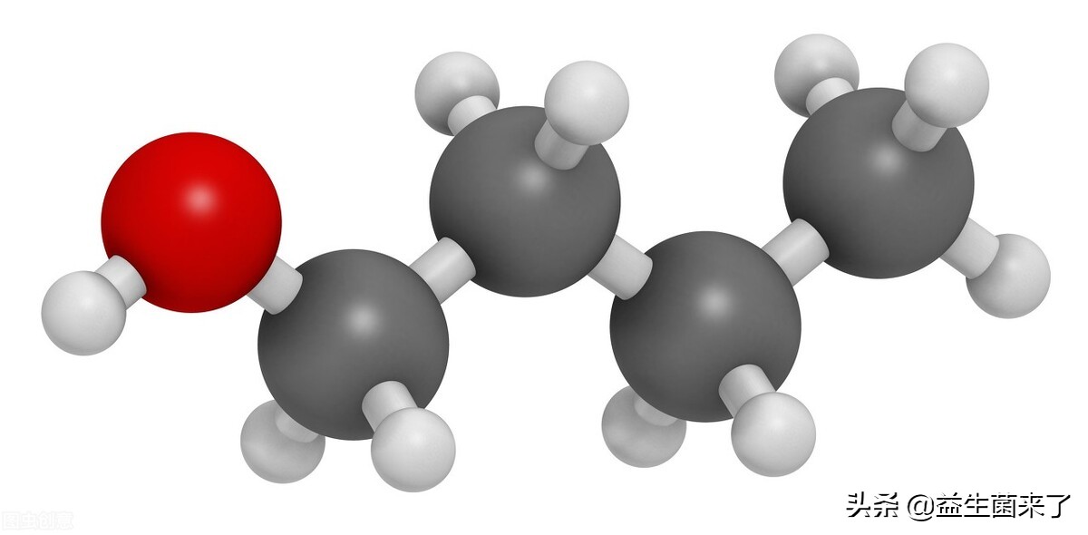 什么菌长得快,哪种菌生长期短